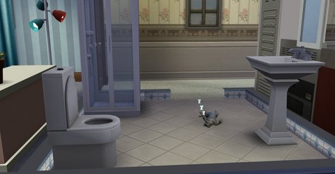 トイレでへそ天する猫.jpg